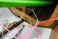 Extensive Miracle repairs in progress Extensive Miracle repairs in progress